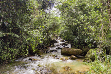 Captura de pantalla 2025-07-13 124153